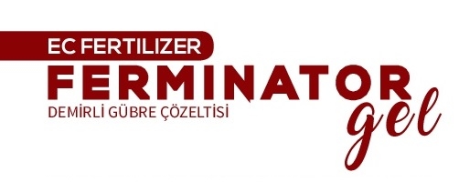 Ferminatör