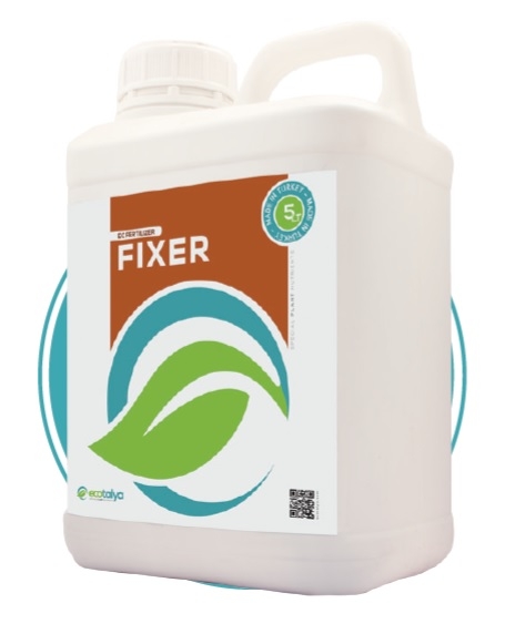 Fixer special